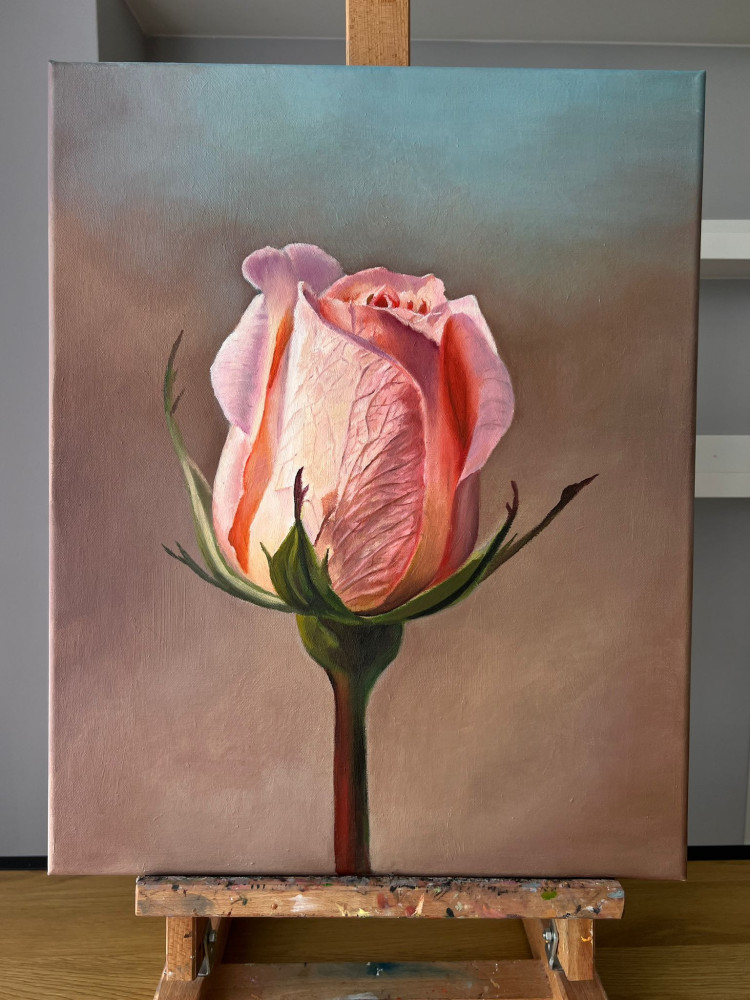 Oil painting on canvas "Rose"