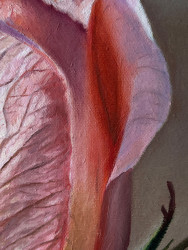 Oil painting on canvas "Rose"