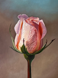 Oil painting on canvas "Rose"