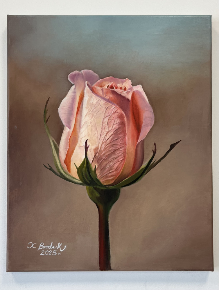 Before the Bloom — Limited Edition Fine Art Print